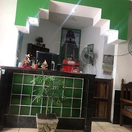 Green Monkey Hostel ฟลอเรส ภายนอก รูปภาพ