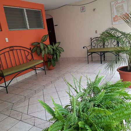 Green Monkey Hostel ฟลอเรส ภายนอก รูปภาพ