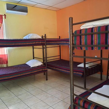 Green Monkey Hostel ฟลอเรส ภายนอก รูปภาพ