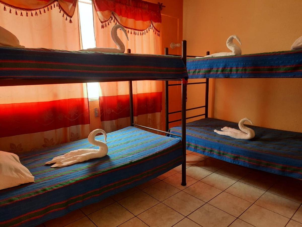 Green Monkey Hostel ฟลอเรส ภายนอก รูปภาพ