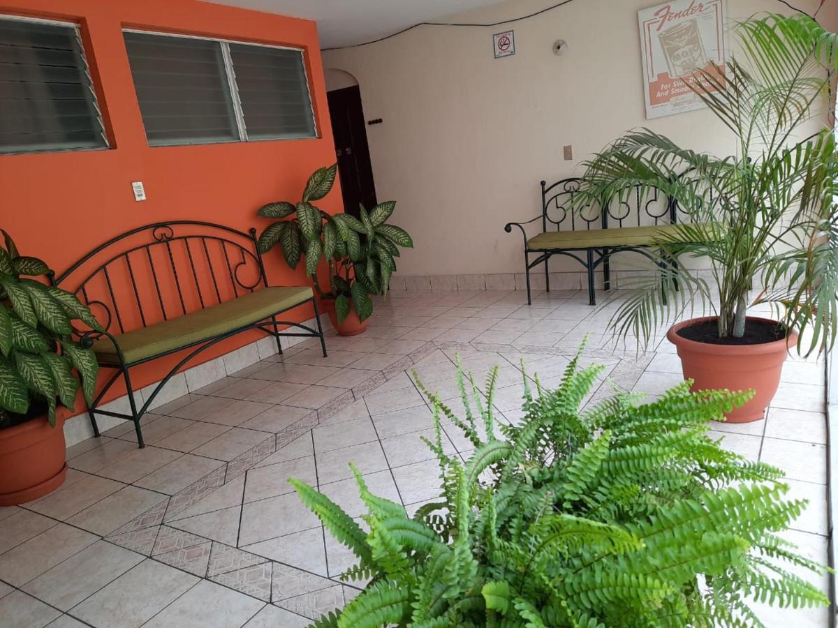 Green Monkey Hostel ฟลอเรส ภายนอก รูปภาพ